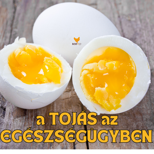 a_tojas_az_egeszsegugyben_banner_1