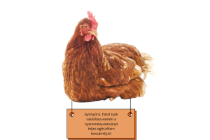 a_tojas_az_egeszsegugyben_banner_3