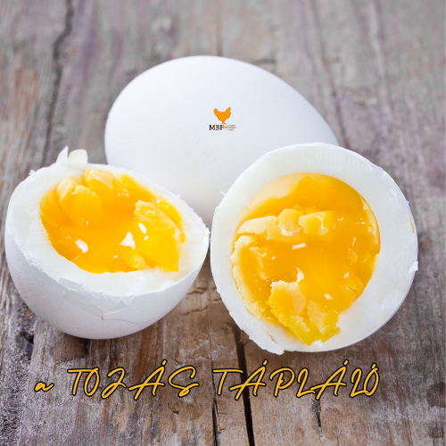 a_tojas_taplalo_banner_2