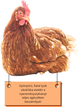 a_tojas_taplalo_banner_3