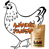 tojotyuk-1-zacsko-tojotap-ajandek_icon_image