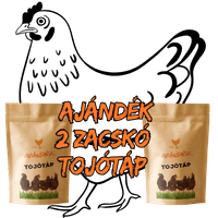 tojotyuk-2-zacsko-tojotap-ajandek_icon_image