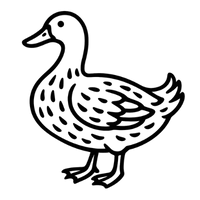 kacsa_icon_image