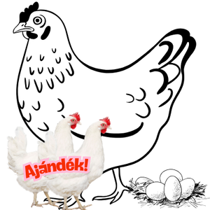 barna-tojotyuk-2db-ajandek-feher-tojotyuk_icon_image