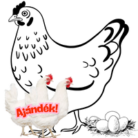 barna-tojotyuk-2db-ajandek-feher_icon_image