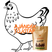 tojotyuk-1-zacsko-tojotap-ajandek_icon_image